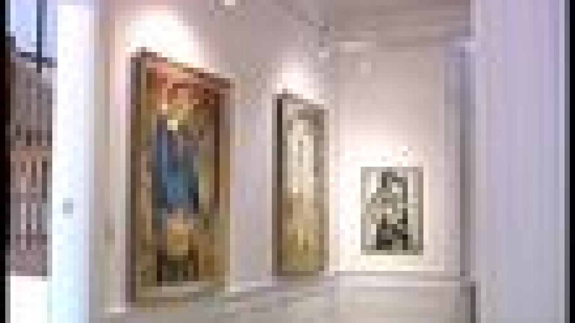 Exposition à la Chataigneraie